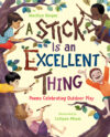 Stick Is an Excellent Thing: Poems Celebrating Out