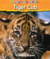 Tiger Cub (I Love Reading)