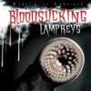 Bloodsucking Lampreys (Real-Life Vampires)(LB)
