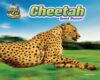 Cheetah: Speed Demon! (Blink of an Eye: Superfast