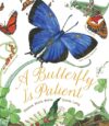 Butterfly Is Patient (HC)