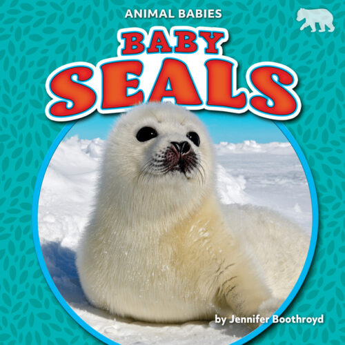 Baby Seals (Animal Babies)