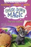 Big Shrink (Upside-Down Magic #6)(HC)