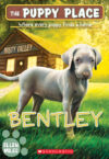 Bentley #53 (Puppy Place)