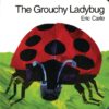 Grouchy Ladybug (Board)