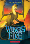 Darkness of Dragons #10 (Wings of Fire)