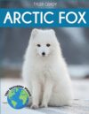 Arctic Fox: Fascinating Animal Facts for Kids
