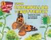 From Caterpillar to Butterfly (Let's-Read Sci 1)