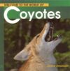 Coyotes (Welcome to the World)