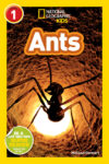 Ants (National Geographic Readers: Level 1)
