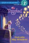 Tangled: Outside My Window ( SIR Level 2 )