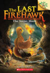 Secret Maze: A Branches Book #10 (Last Firehawk)