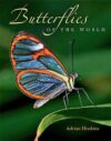 Butterfly Picture Book - Butterfly Photography