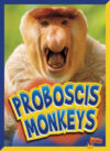 Proboscis Monkeys (Curious Creatures)(LB)