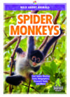 Spider Monkeys (Wild about Animals)