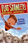 Mount Rushmore Calamity #1 (Fllat Stanley's World