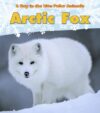 Arctic Fox (Day in the Life: Polar Animals)