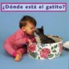 Donde Esta El Gatito? = Where's the Kitten