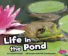 Life in the Pond (Habitats Around the World)