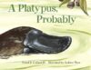 Platypus Probably