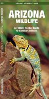 Arizona Wildlife: A Folding Pocket Guide to Famili