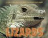 Sneed B. Collard III's Most Fun Book Ever about L