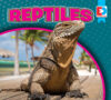 Reptiles (Eyediscover)