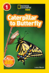 Caterpillar to Butterfly ( National Geo Lvl 1)