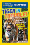 Tiger in Trouble!