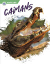 Caimans (Reptiles)