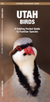 Utah Birds: A Folding Pocket Guide to Familiar Spe