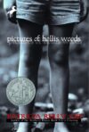Pictures of Hollis Woods   (2003 Newbery Honor)