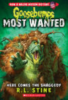Here Comes the Shaggedy #9 (Goosebumps Most Wanted