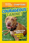 Courageous Canine!