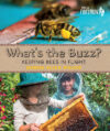 What's the Buzz?: Keeping Bees in Flight (HC)