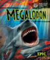 Megalodon (Ancient Marine Life)(LB)