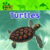 Turtles (Amazing Animals)