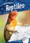 Reptiles (Animal Classes)
