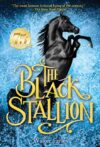 Black Stallion #1 (Black Stallion)