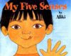 My Five Senses (BIG BOOK)