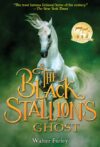 Black Stallion's Ghost #18 (Black Stallion)